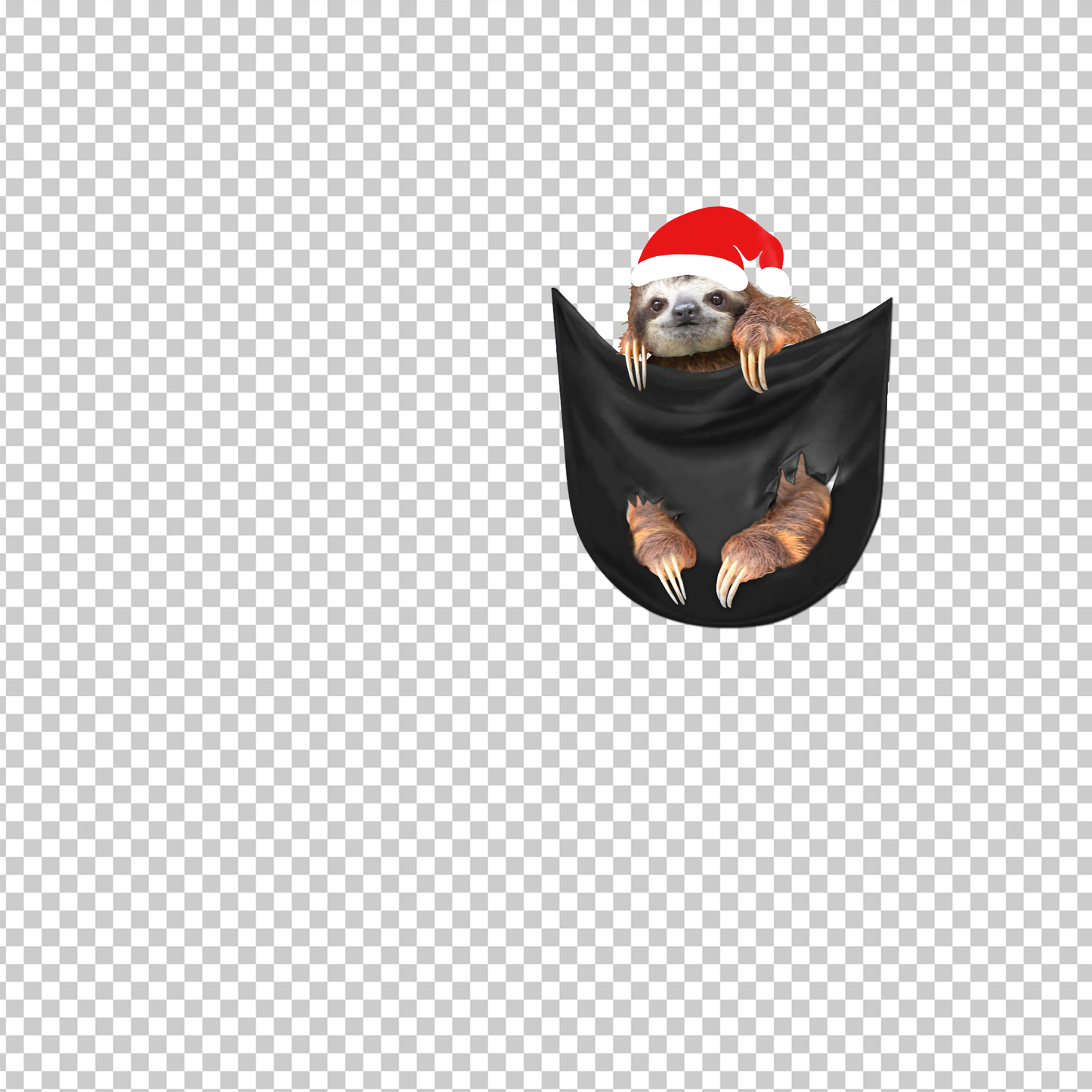 SLOTH 103