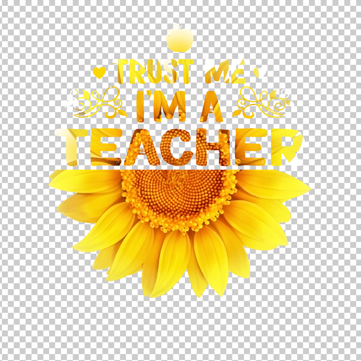 TEACHER 98