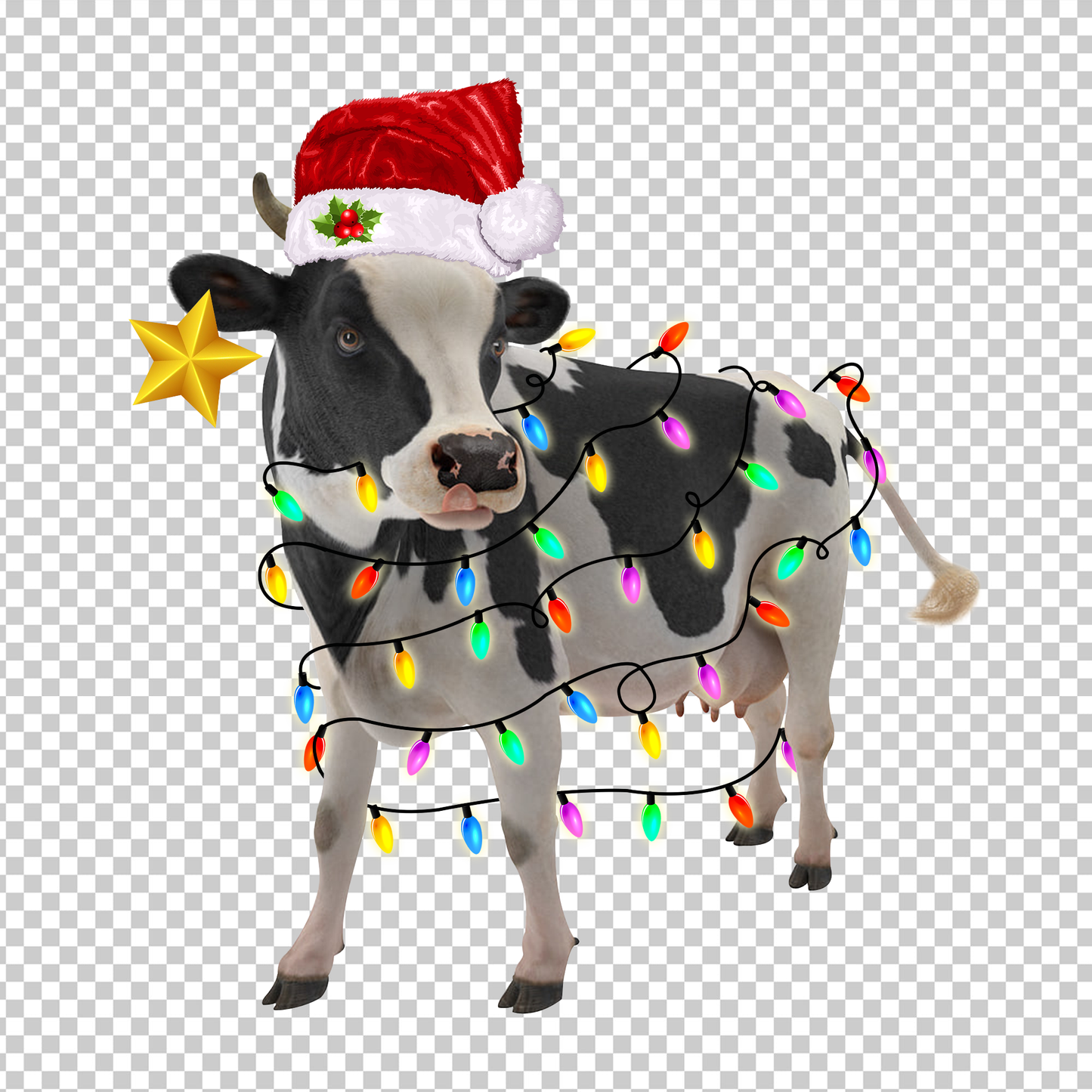 COW 104