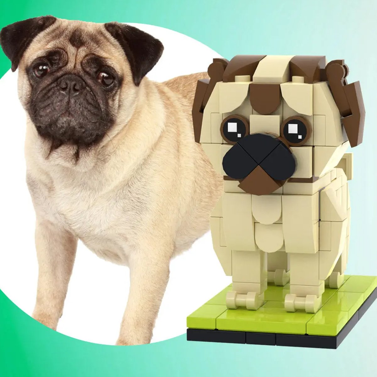 Dog Cat Lovers - Personalized Dog Cat Photos Brick Figures