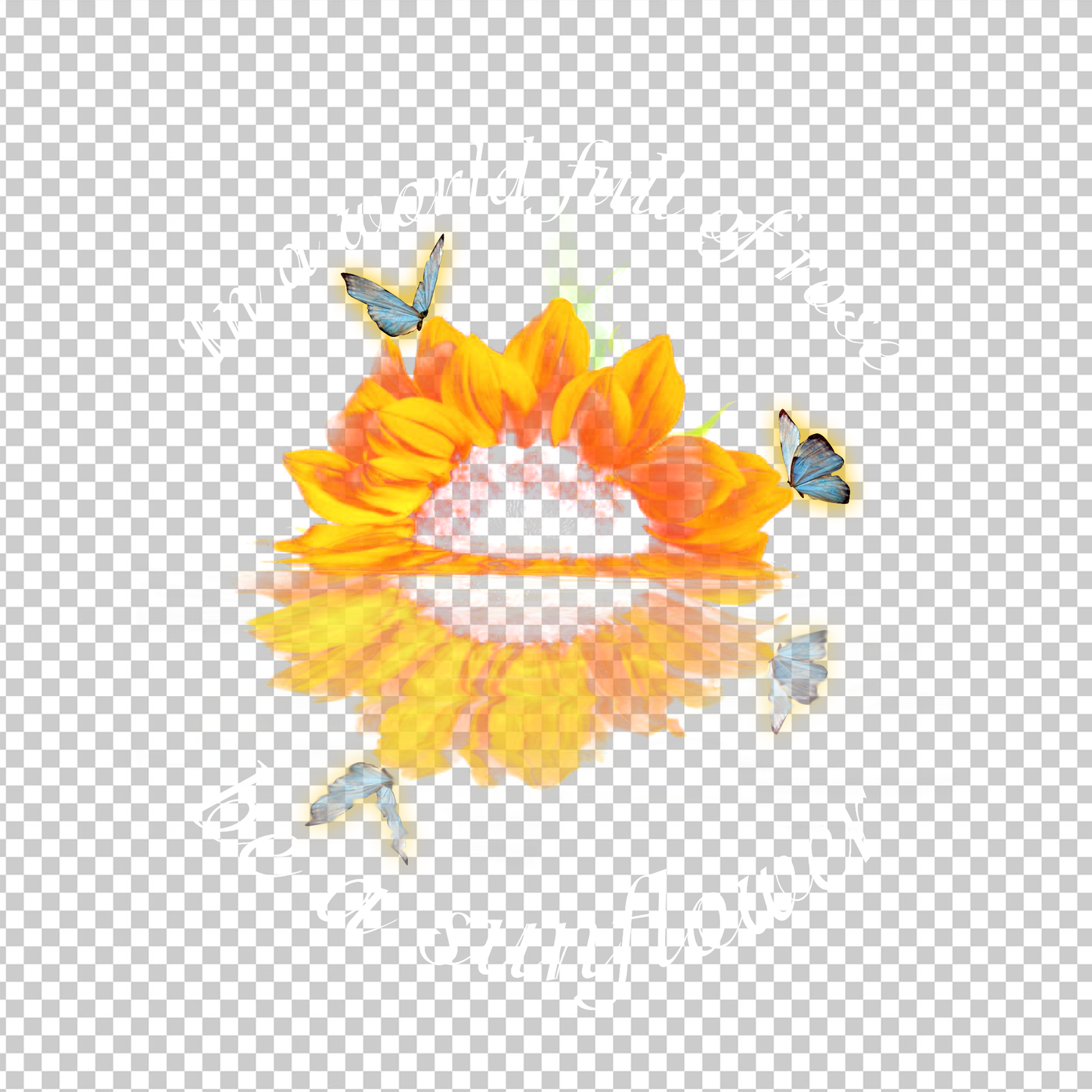 SUNFLOWER 2