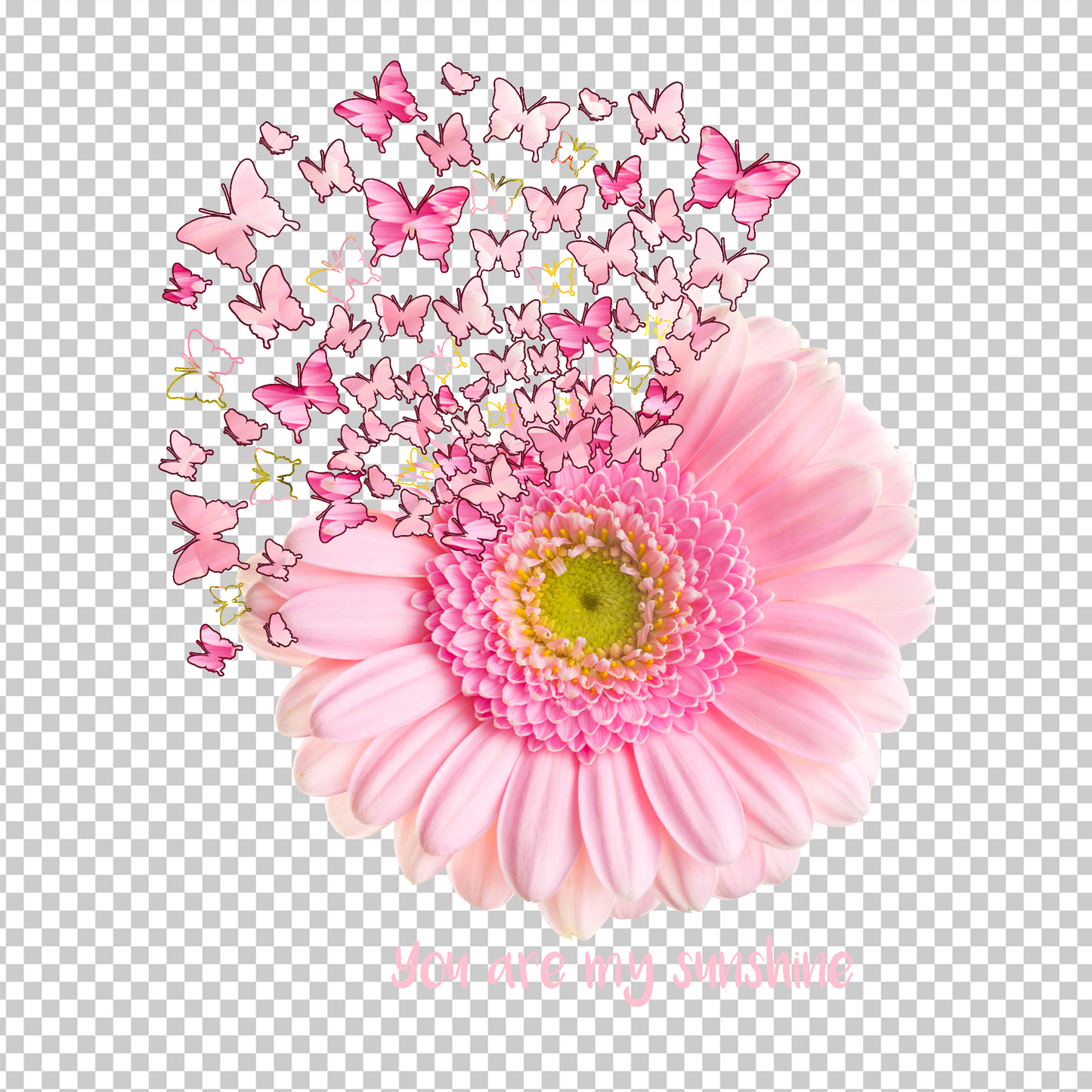 BUTTERFLY 26