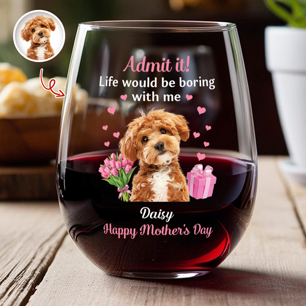 Personalized Pet Photo Wine Glass Admit It Life Would Be Boring With Me Cute Mother's Day Gift for Dog Moms
