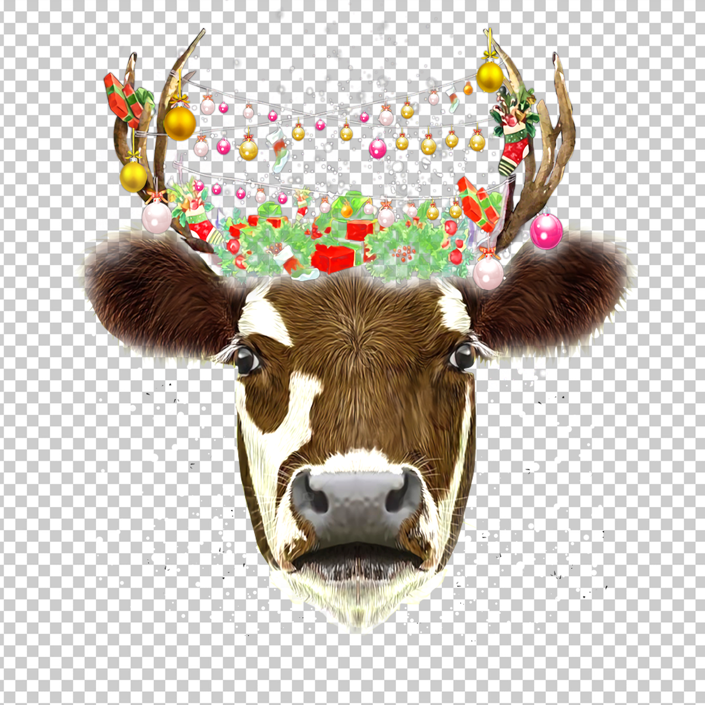 COW 58