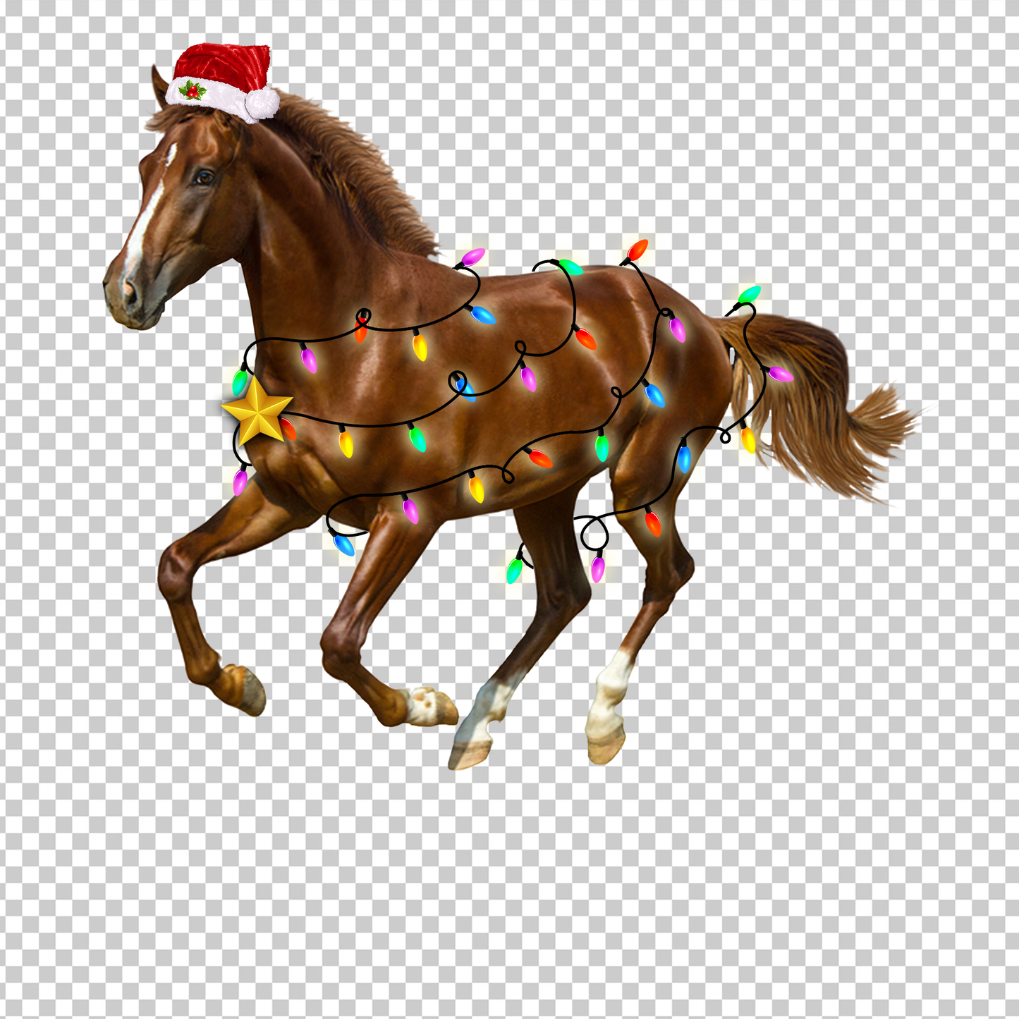 HORSE 11