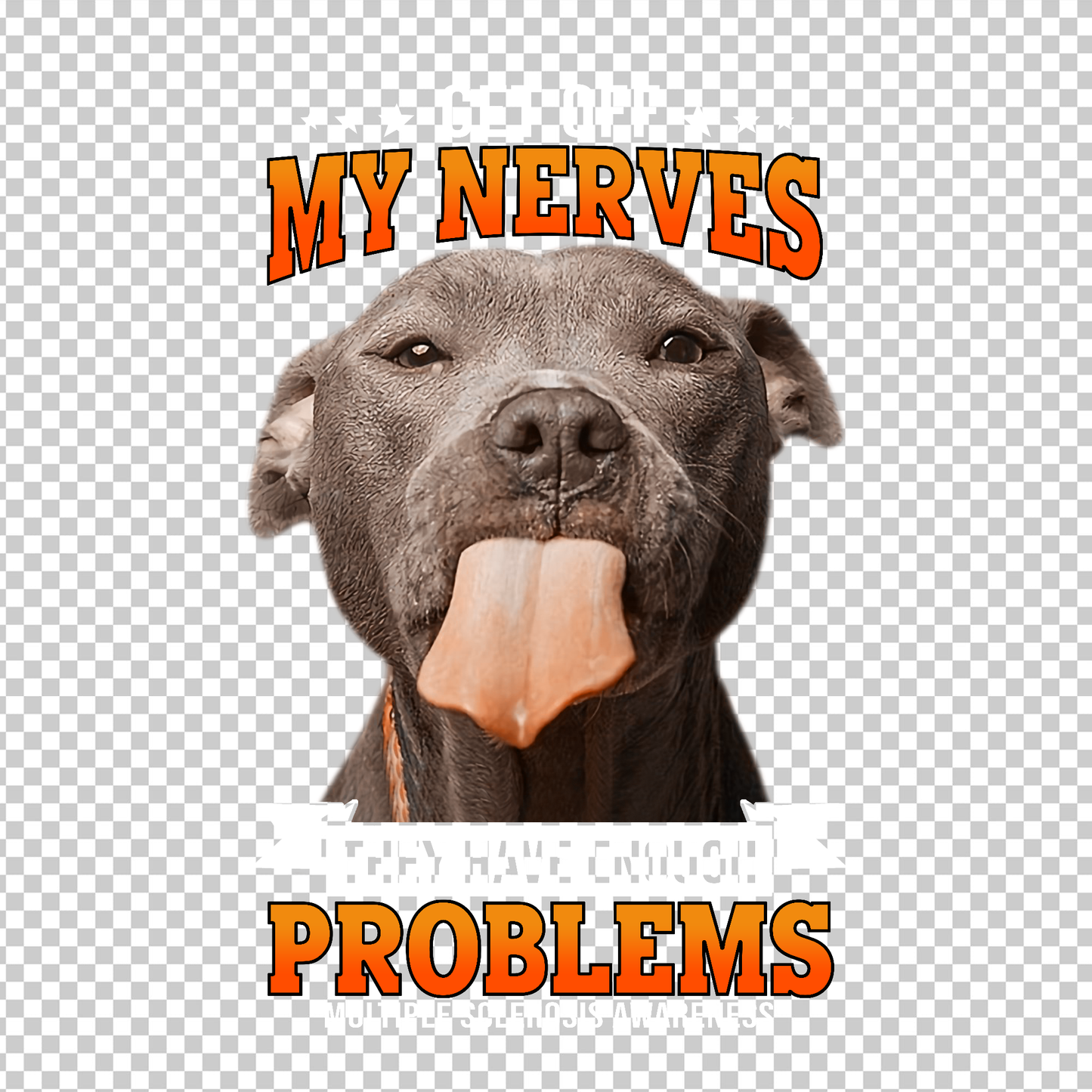 MULTIPLE SCLEROSIS AWARENESS 435