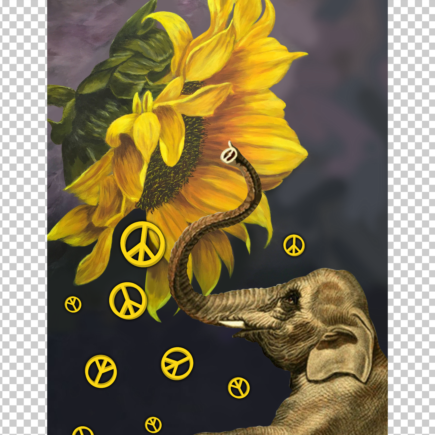 HIPPIE 269