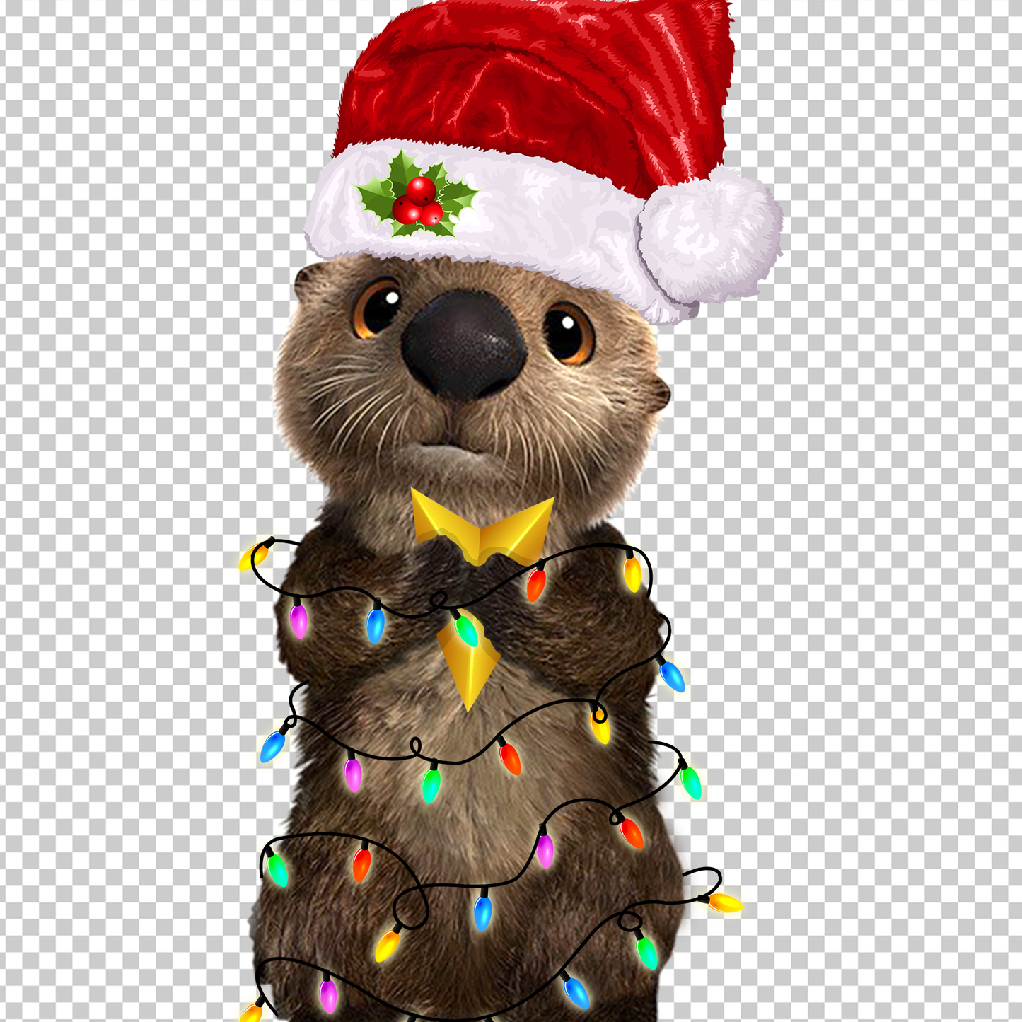 OTTER 20