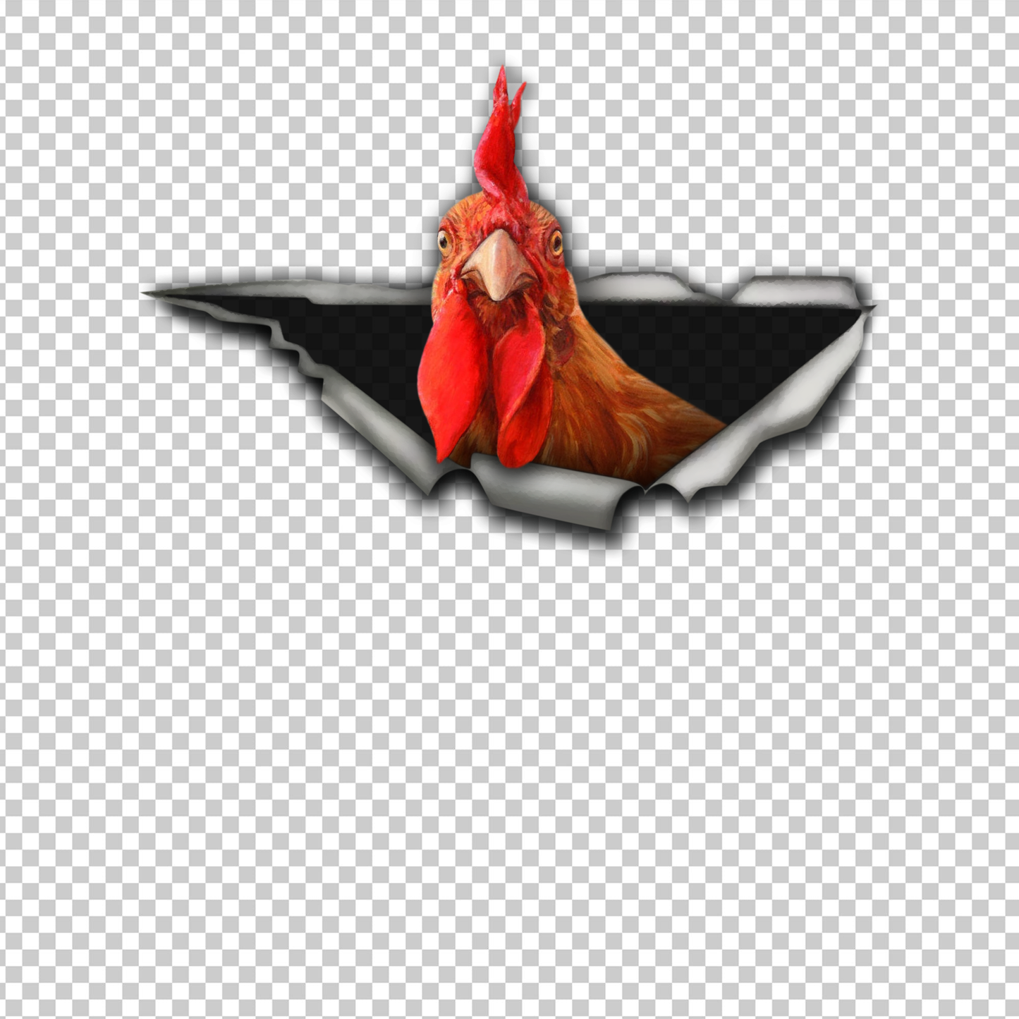 CHICKEN 37