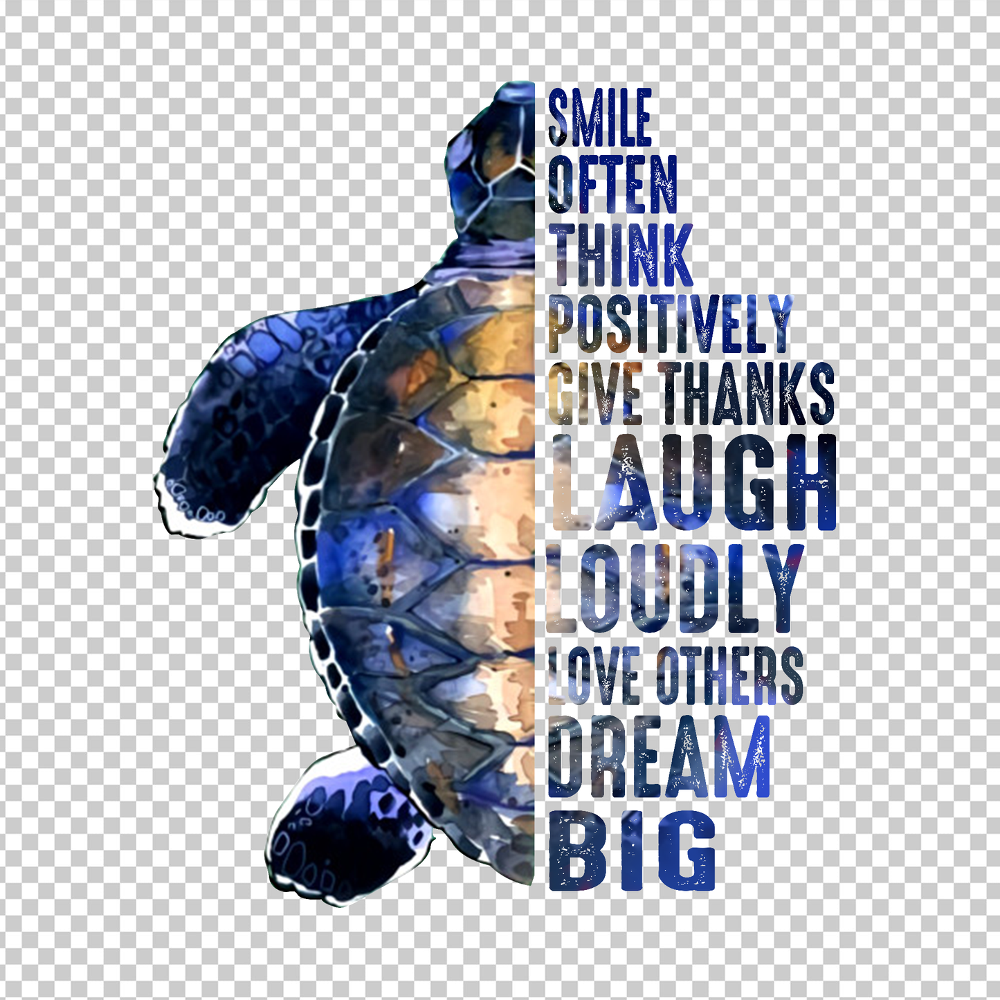 TURTLE 13