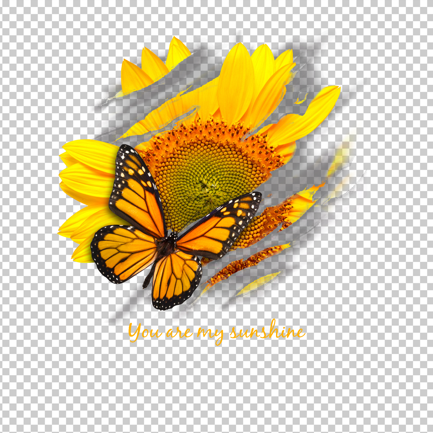 BUTTERFLY 4