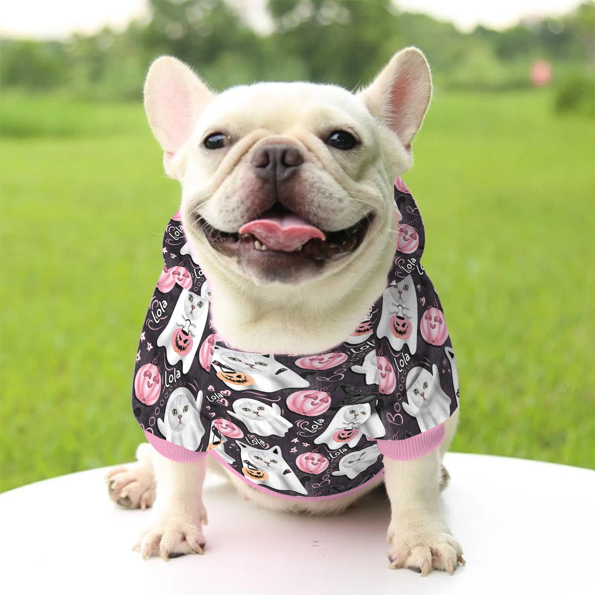 Halloween Cute Ghost Dog Cat - Personalized Dog Pet Hoodie