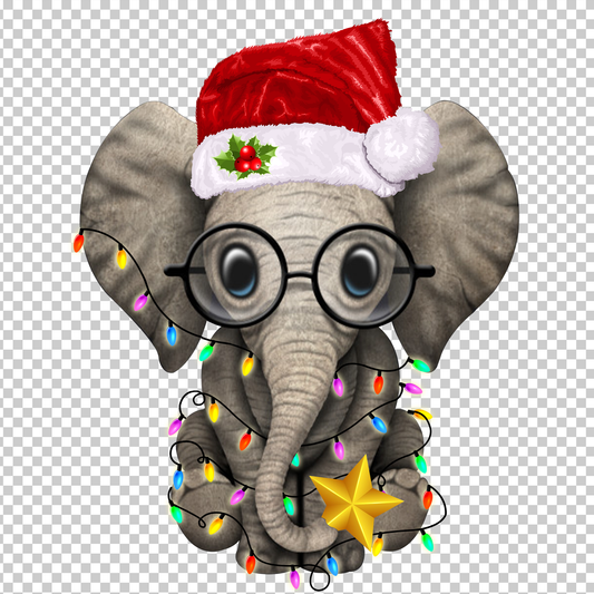 ELEPHANT 6