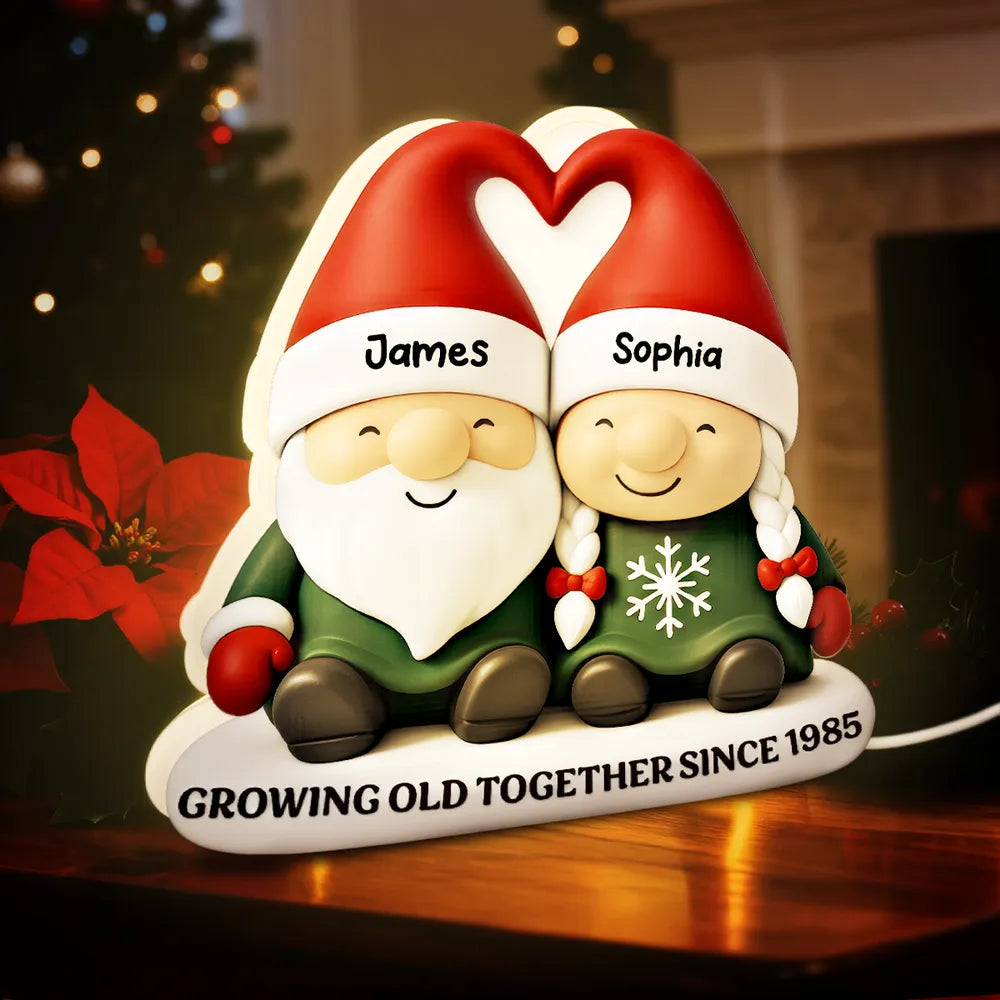 Acrylic Light Box, Christmas Gnome Couple Warm Glow for Bedroom & Shelf, Growing Old Together, Unique Gift for Couples