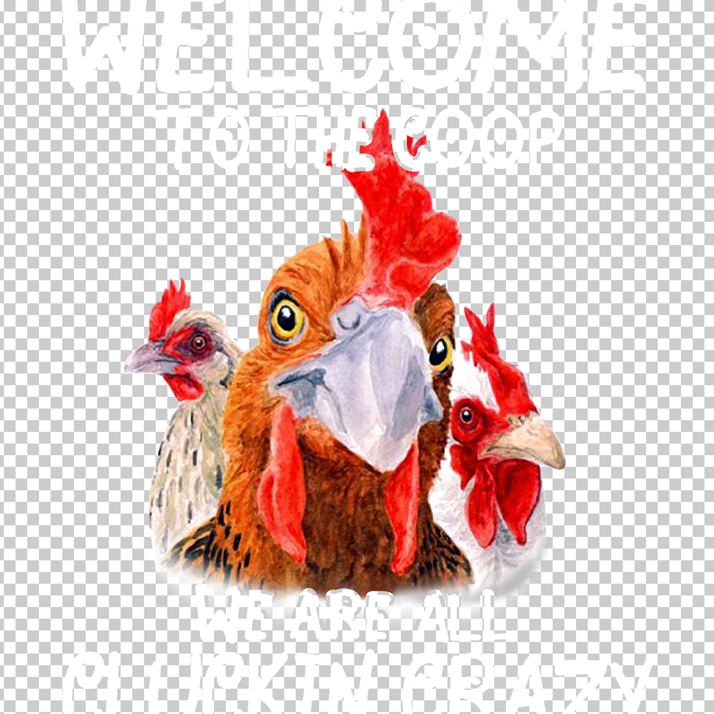 CHICKEN 67