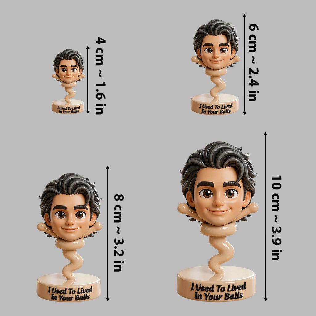 Any Photo Used To Lived In Your Balls Funny Gift For Dad - Personalized Father Premium 3D Figurine