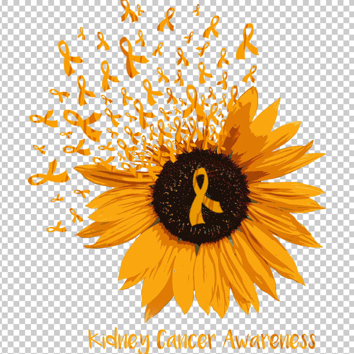 KIDNEY AWARENESS 17
