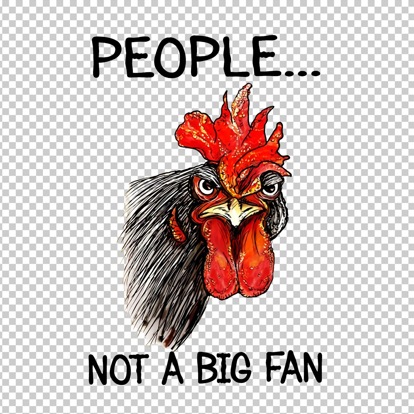 CHICKEN 170