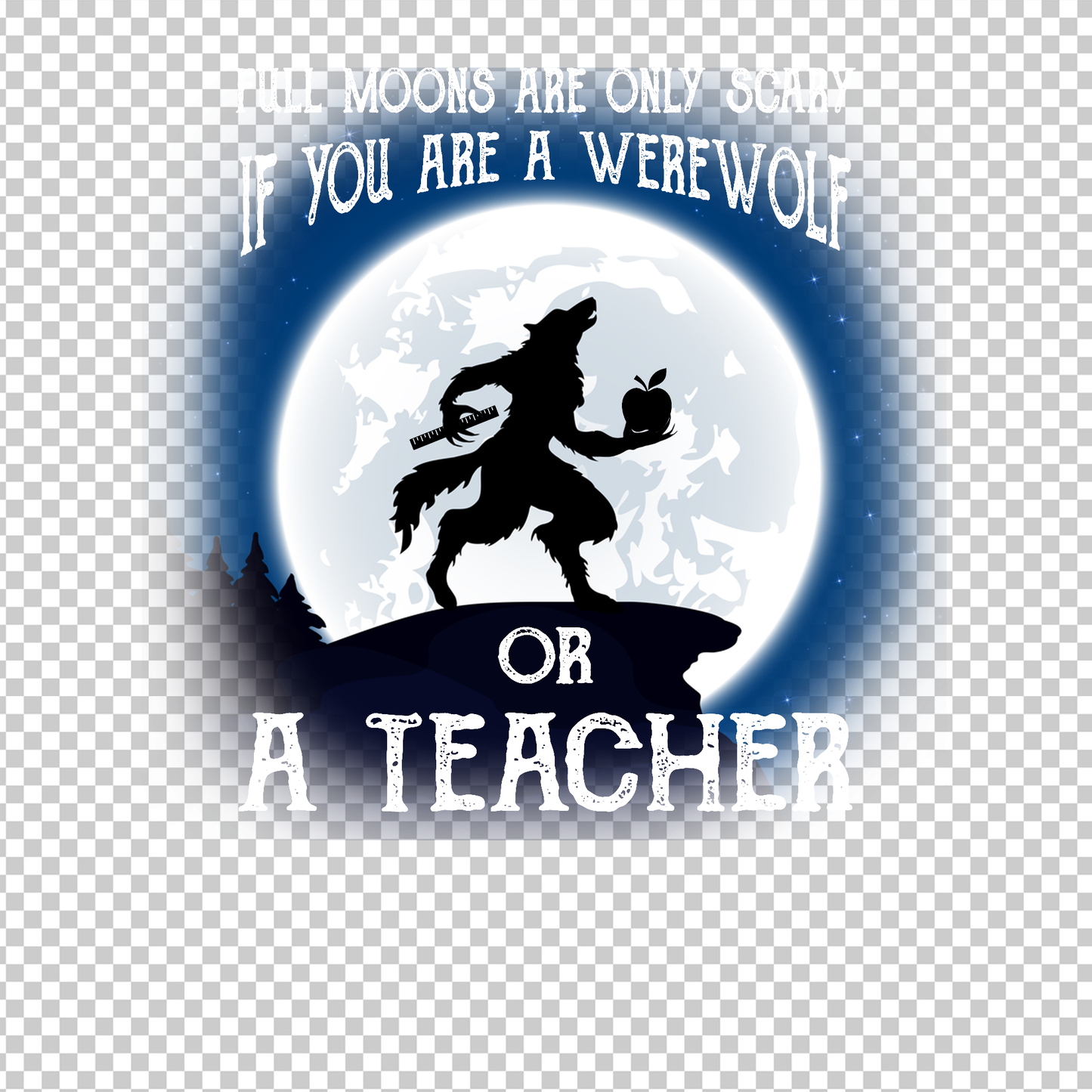 TEACHER 499