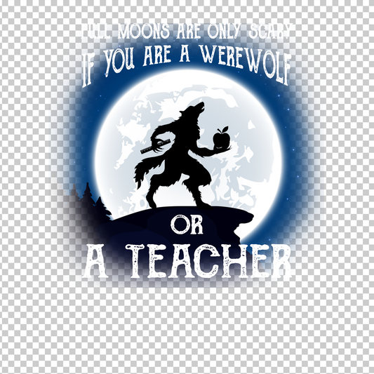 TEACHER 499
