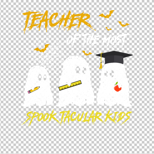 TEACHER 738