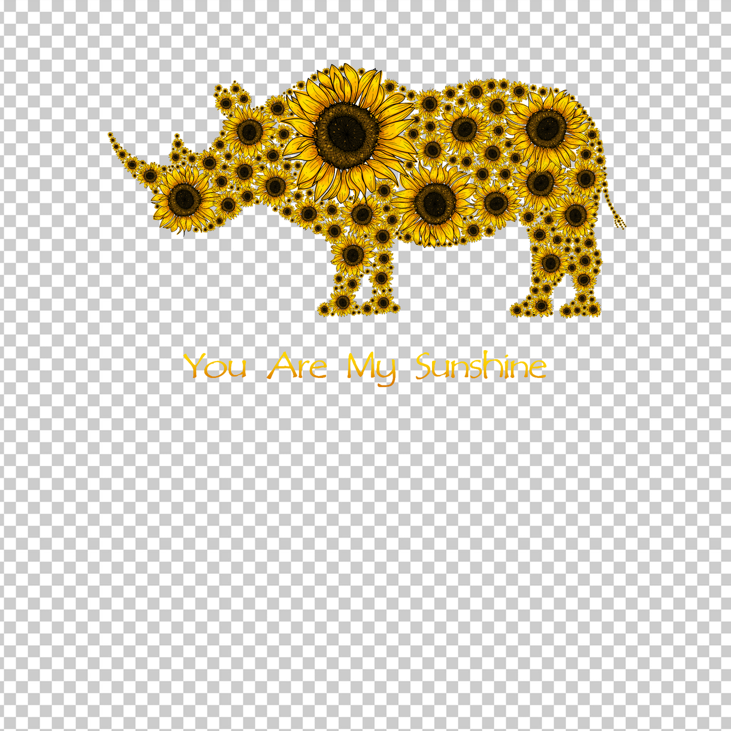 RHINO 3