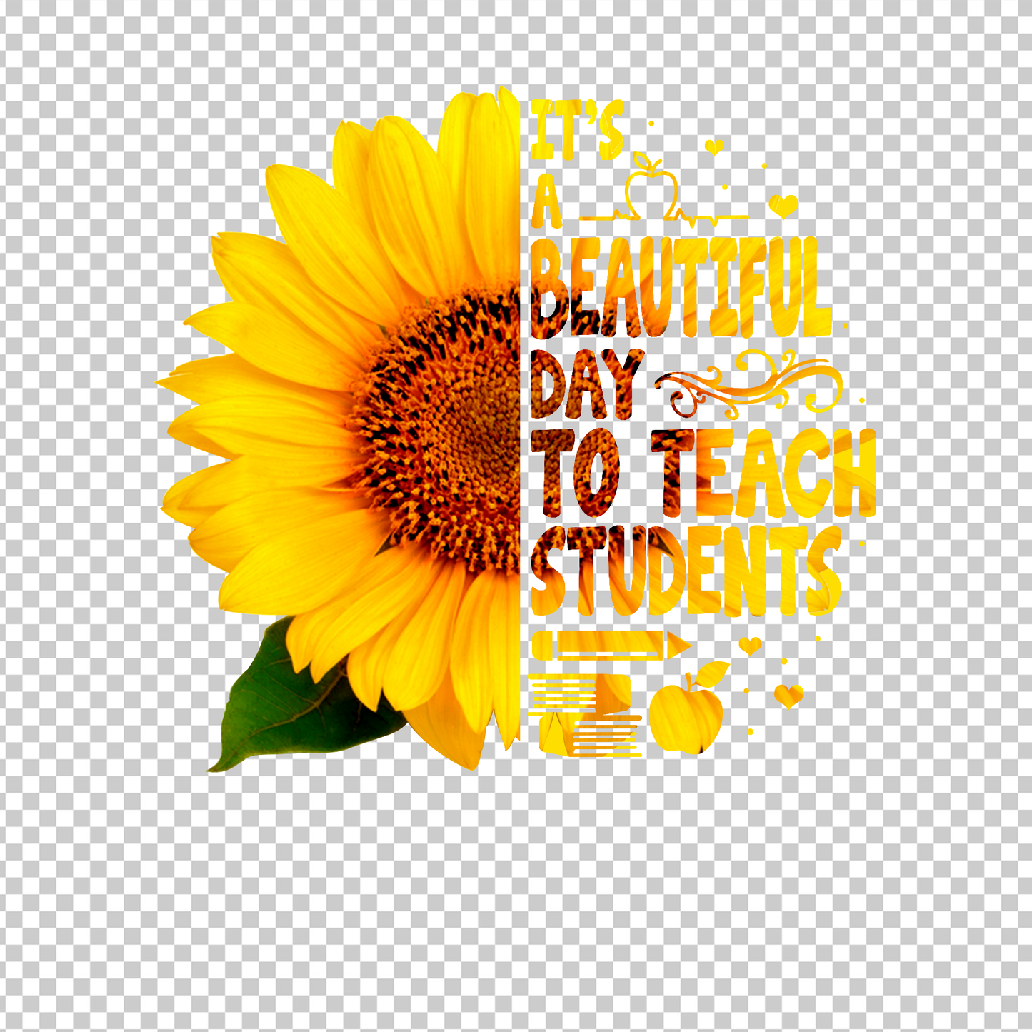 TEACHER 537
