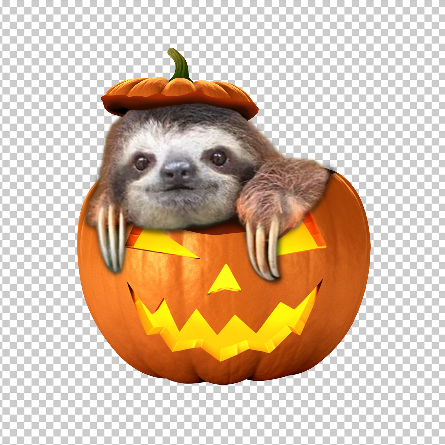 SLOTH 92