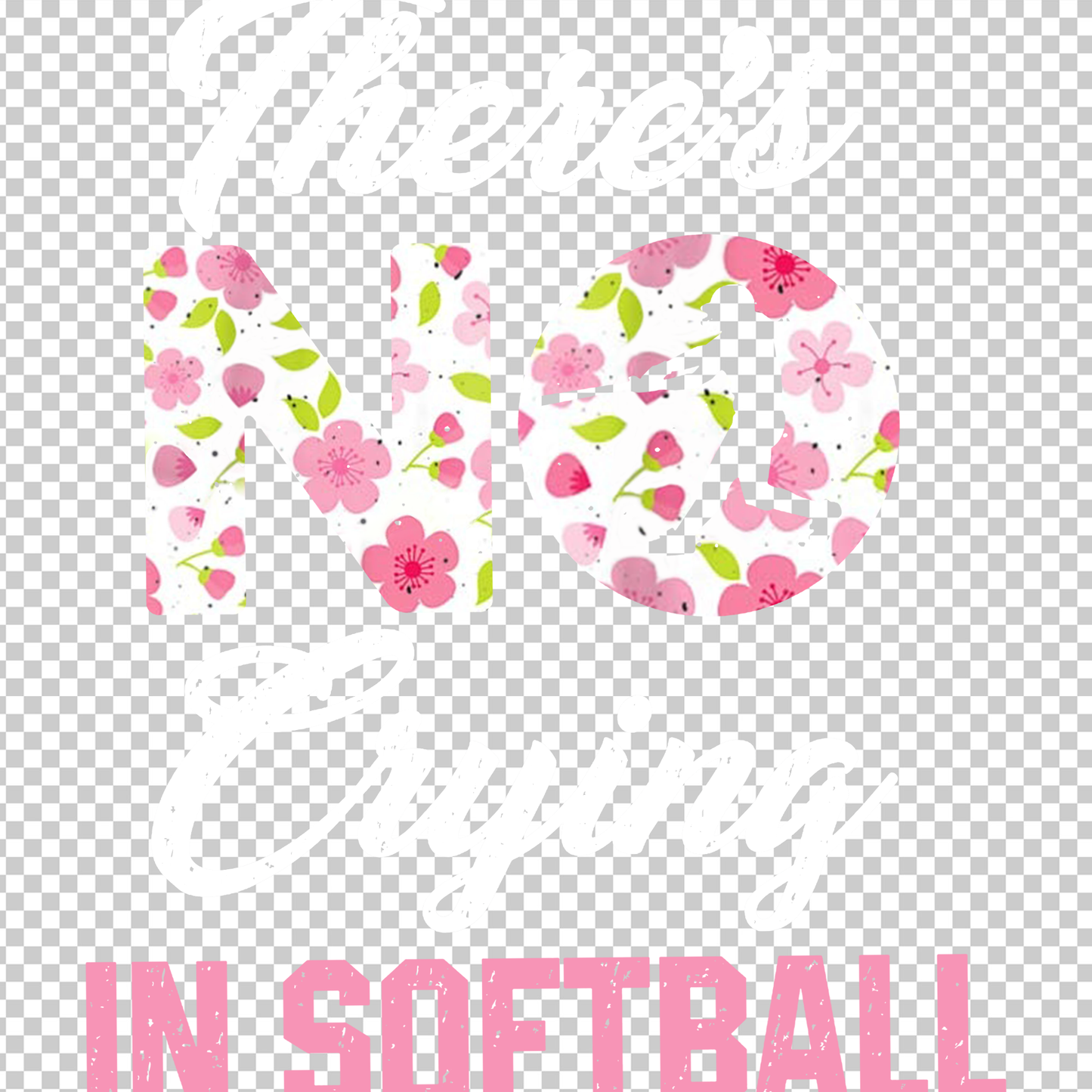 SOFTBALL 221