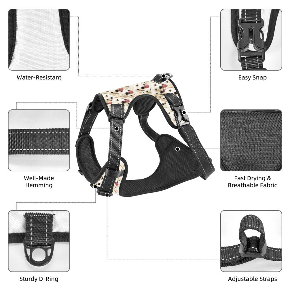 Custom Pet Photo Pattern - Personalized Dog Funny Photo Pattern Style Dog Harness