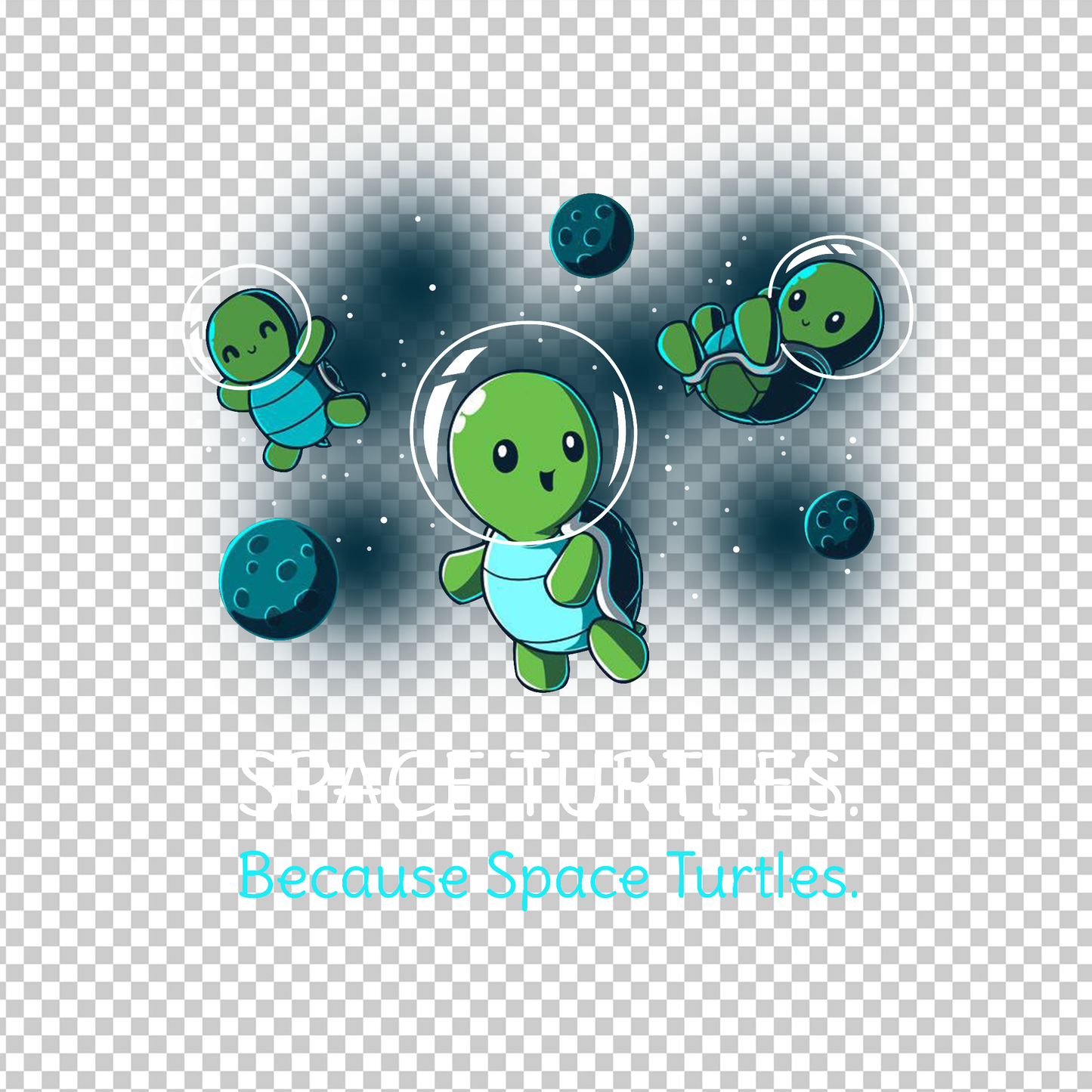 TURTLE 42