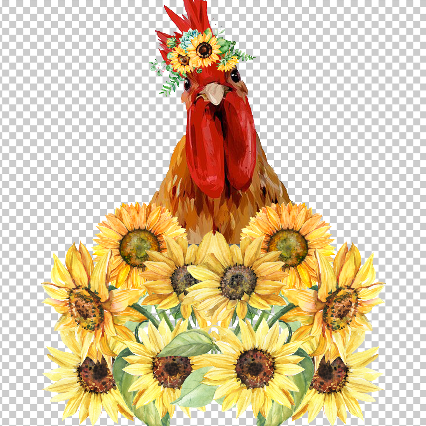 CHICKEN 146