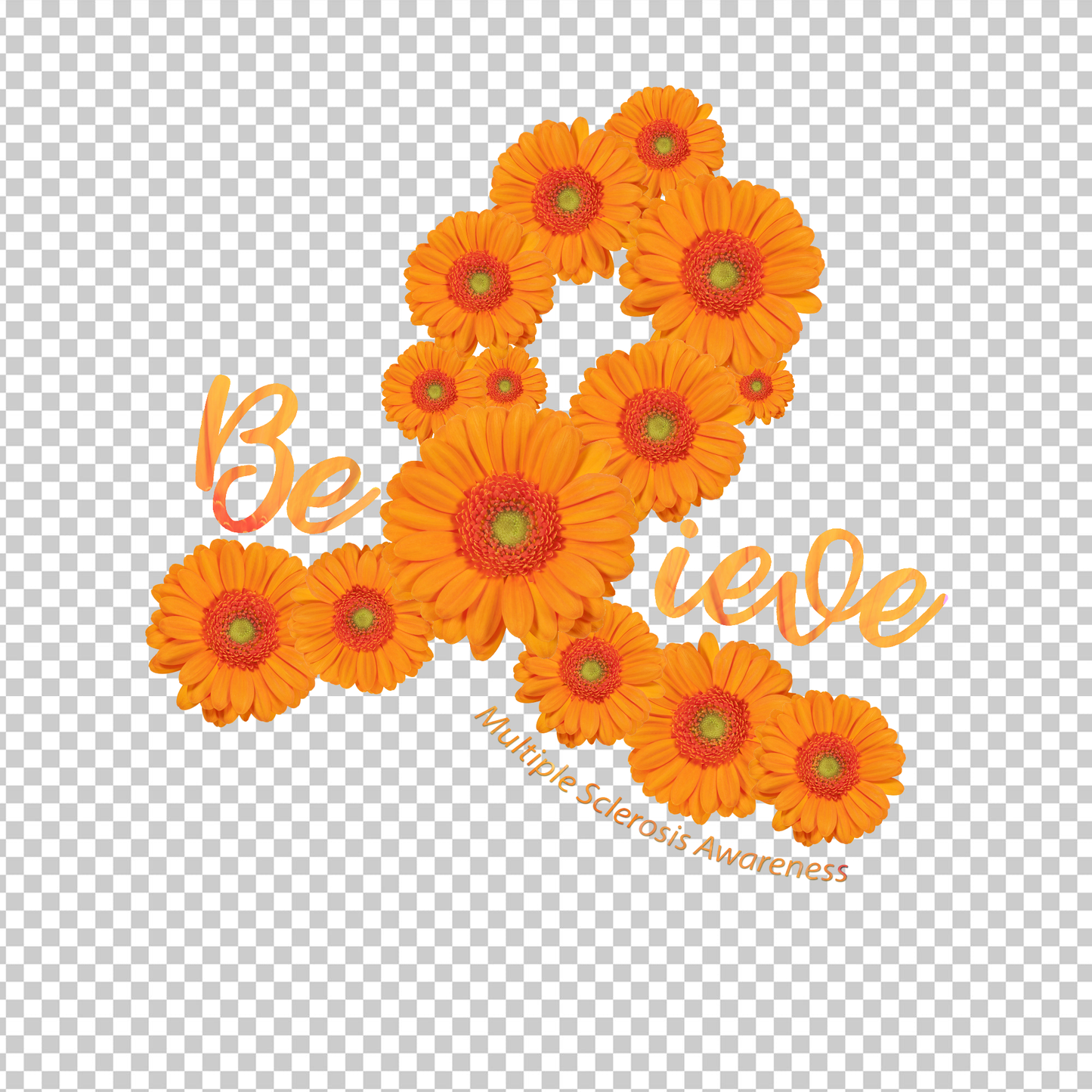 MULTIPLE SCLEROSIS AWARENESS 289