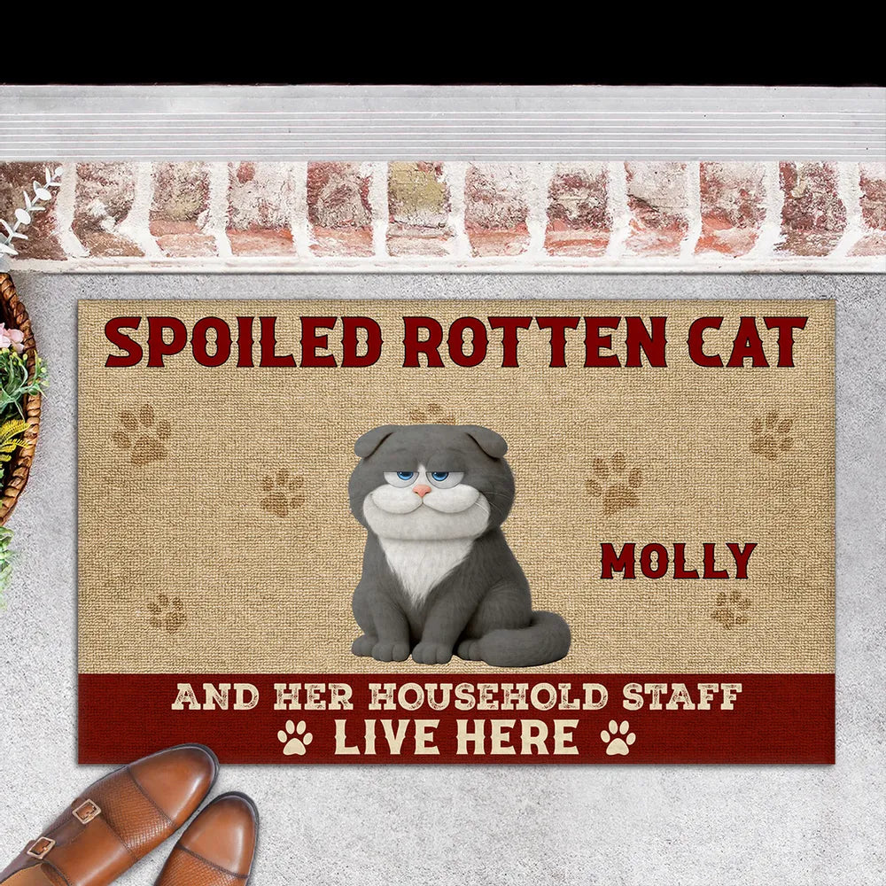 Funny Cat Standard Doormat with Playful Design for Entryway, Adds Humor and Perfect Gift for Pet Lovers