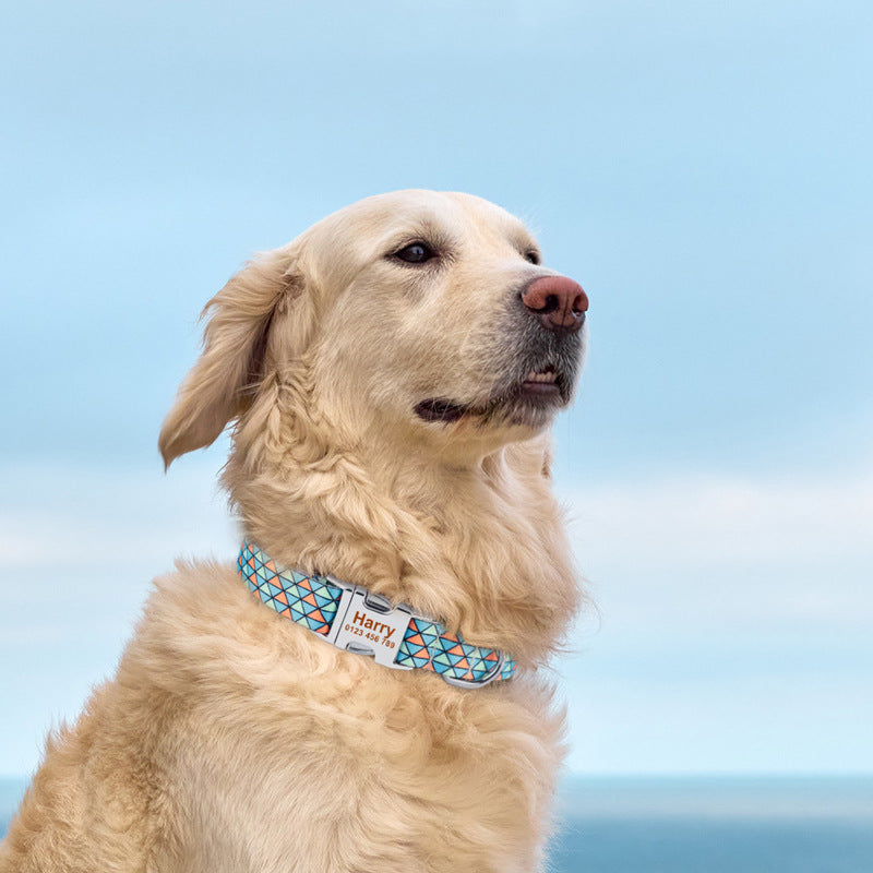 Personalized Text Engraved Dog Collar With Leash Set