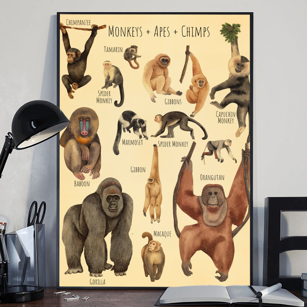 A Beautiful Selection - Canvas And Poster