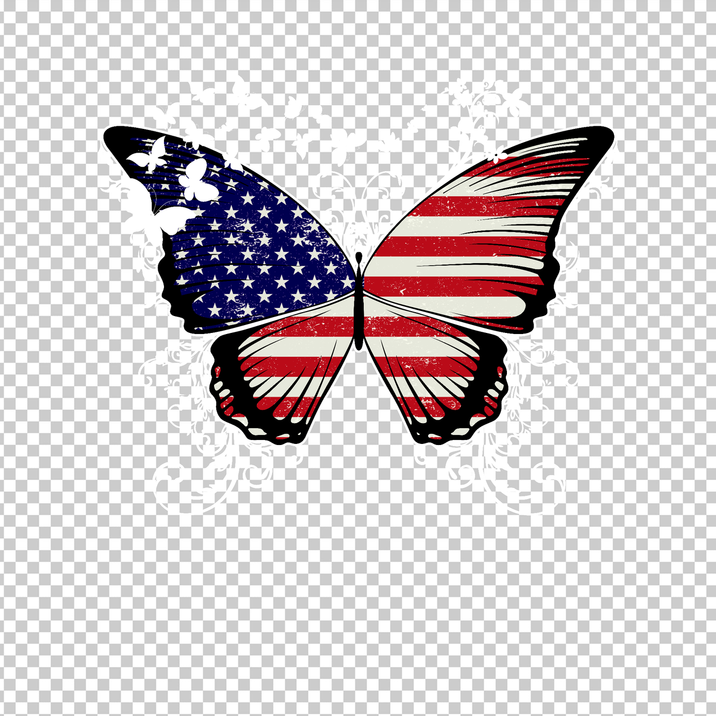 BUTTERFLY 24