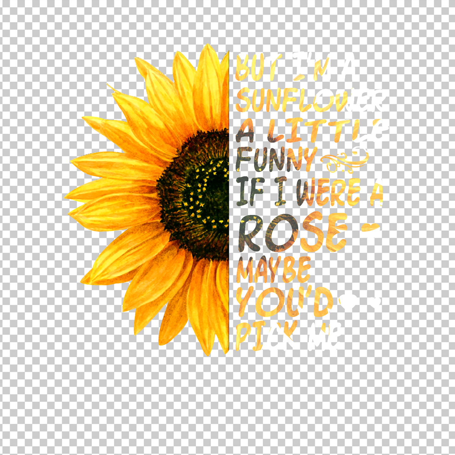 SUNFLOWER 26