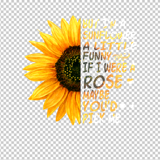 SUNFLOWER 26