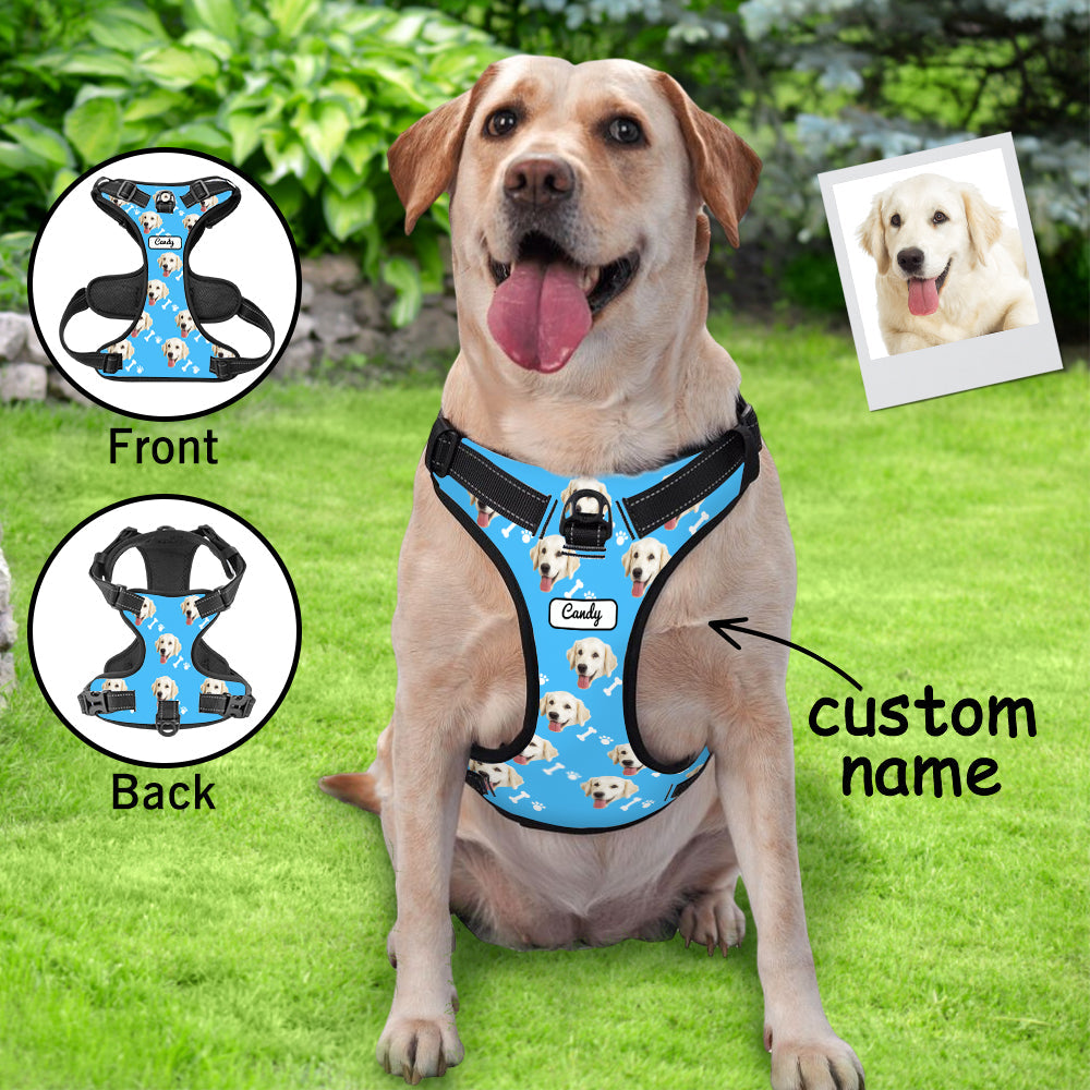 Personalized Dog Photo Bone Pattern Style Dog Harness