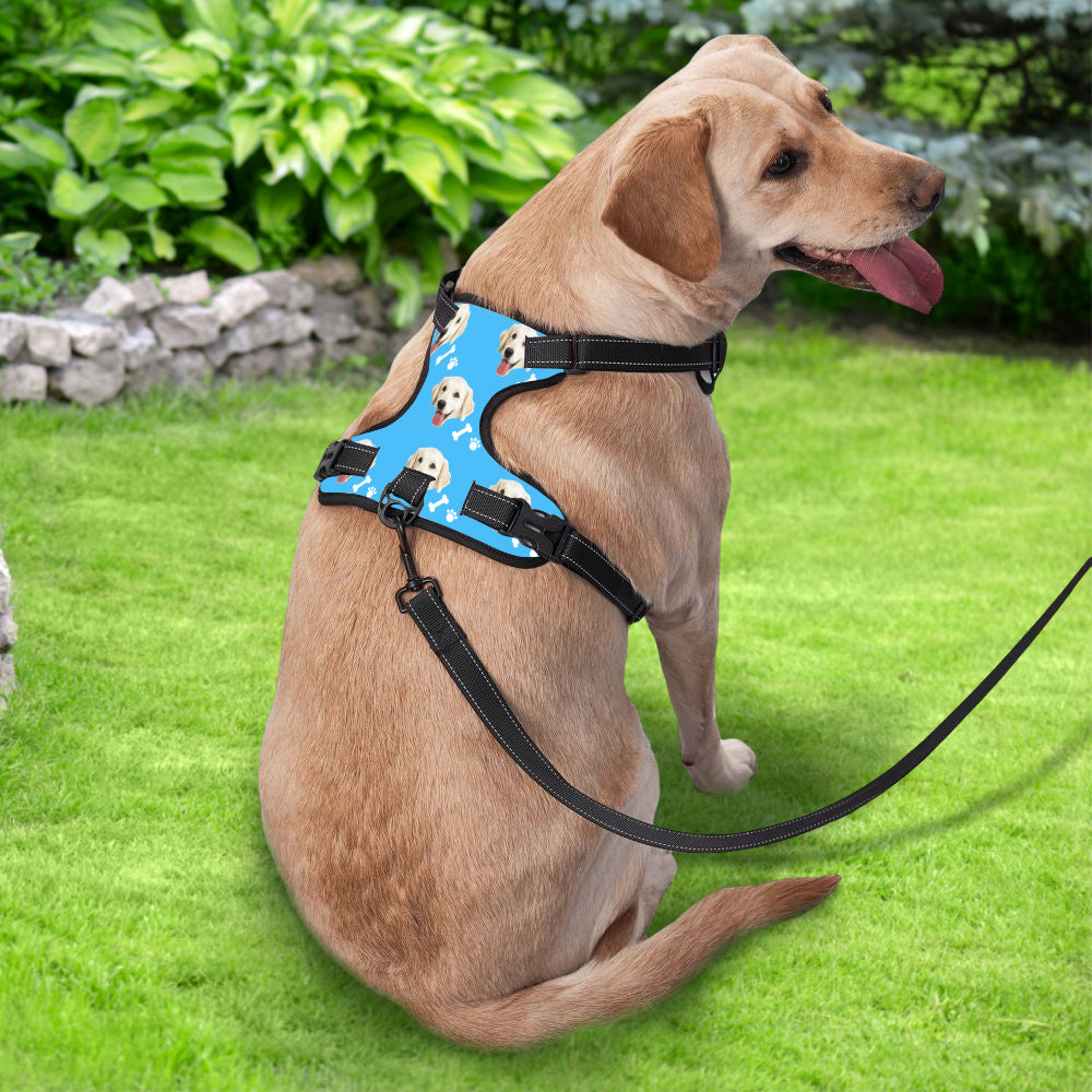 Personalized Dog Photo Bone Pattern Style Dog Harness