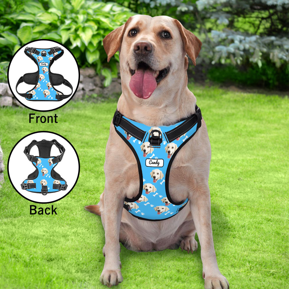 Personalized Dog Photo Bone Pattern Style Dog Harness