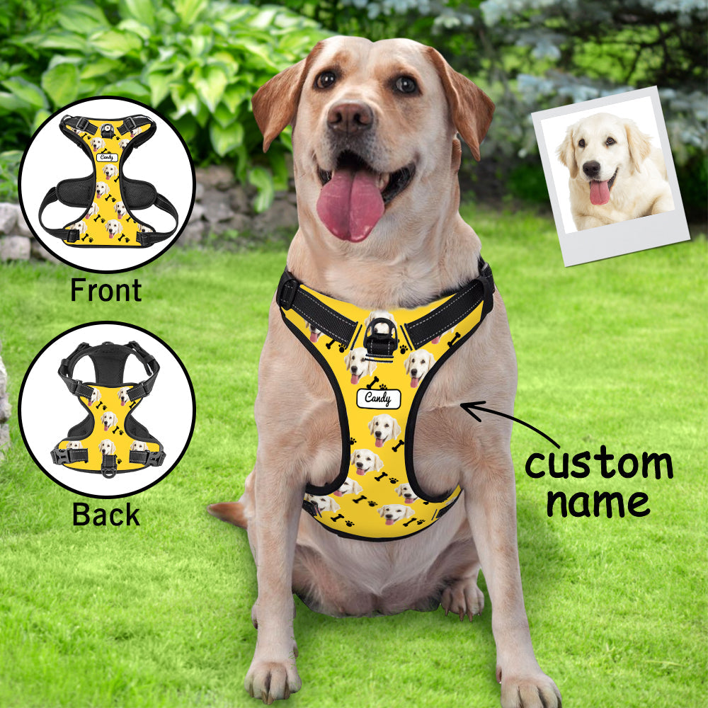 Personalized Dog Photo Bone Pattern Style Dog Harness