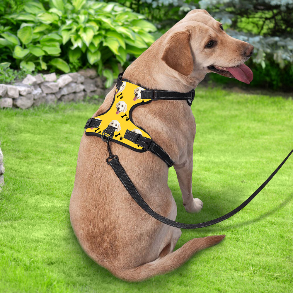 Personalized Dog Photo Bone Pattern Style Dog Harness