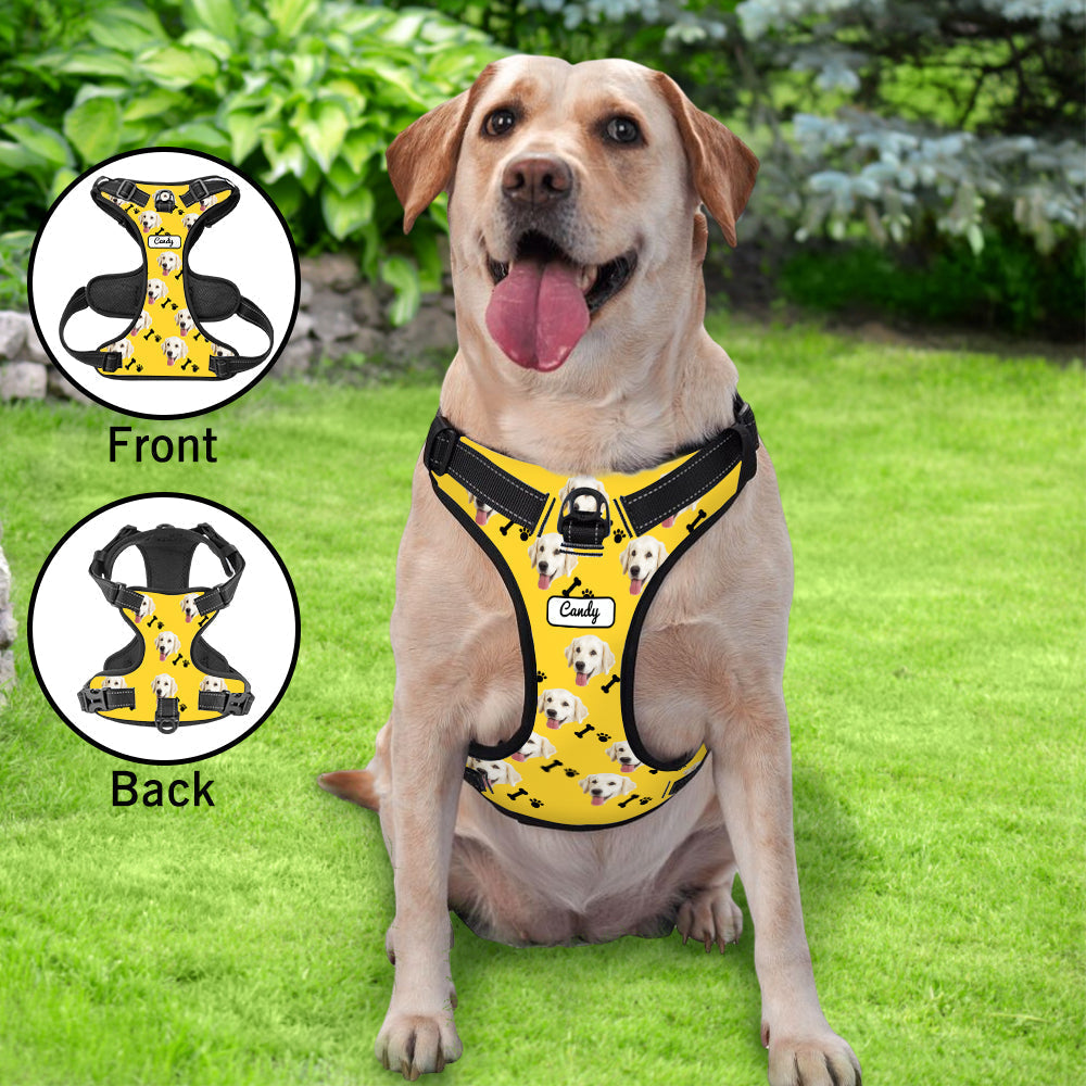 Personalized Dog Photo Bone Pattern Style Dog Harness