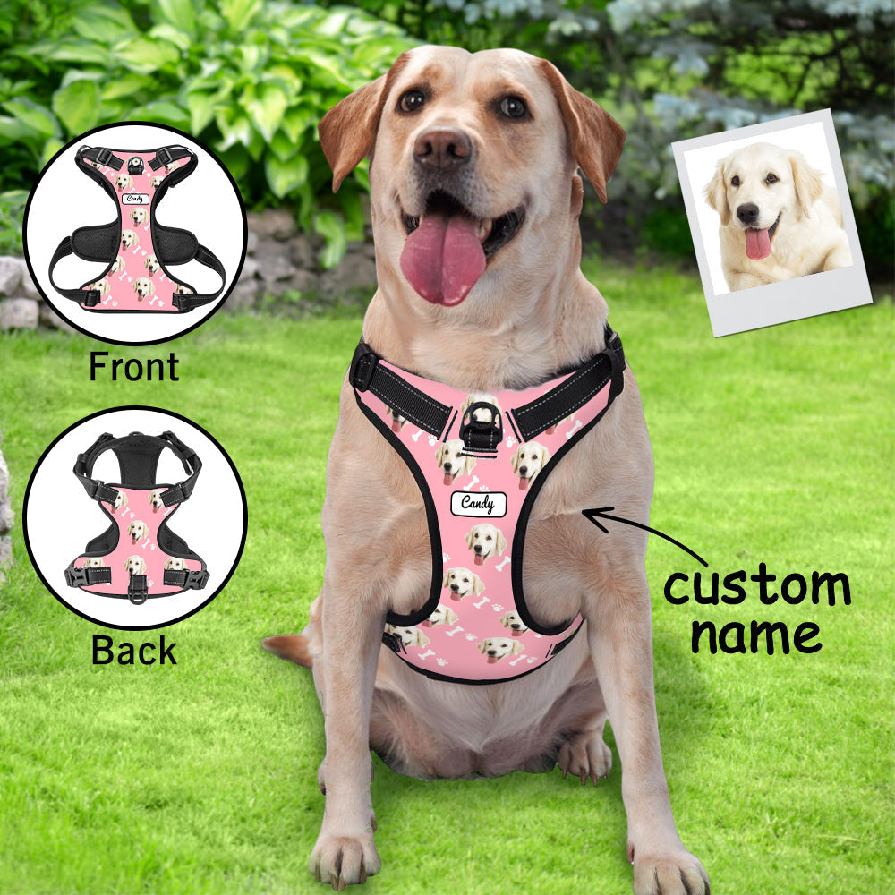 Personalized Dog Photo Bone Pattern Style Dog Harness