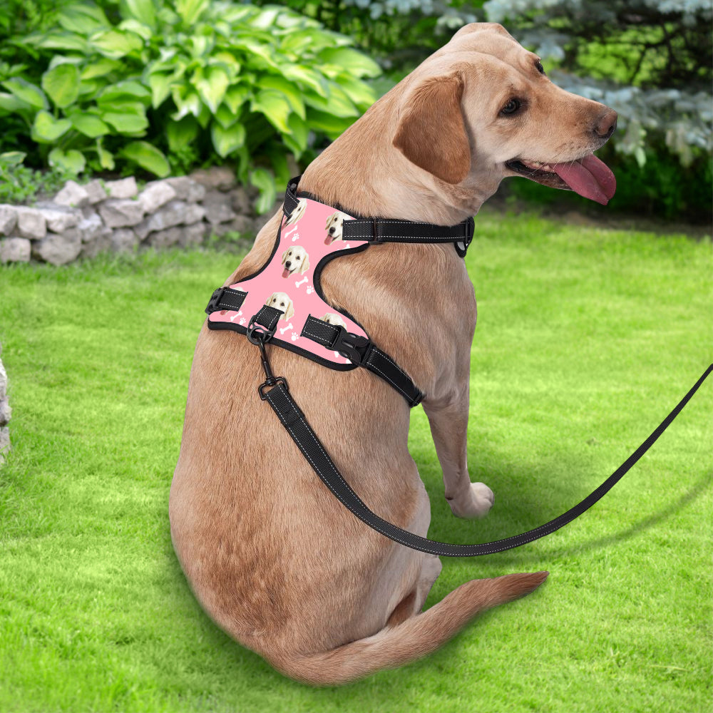 Personalized Dog Photo Bone Pattern Style Dog Harness