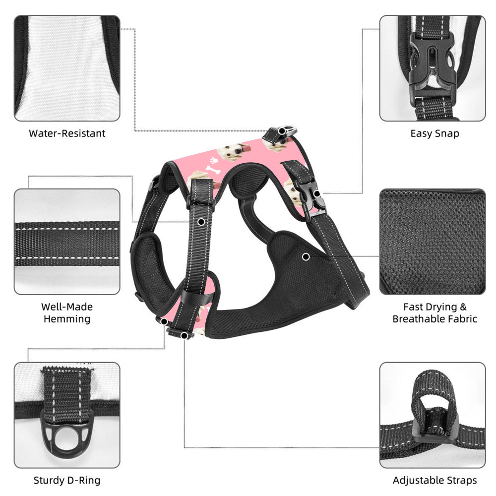 Personalized Dog Photo Bone Pattern Style Dog Harness