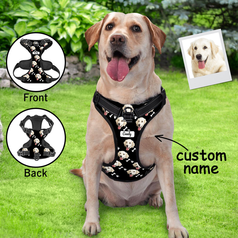 Personalized Dog Photo Bone Pattern Style Dog Harness