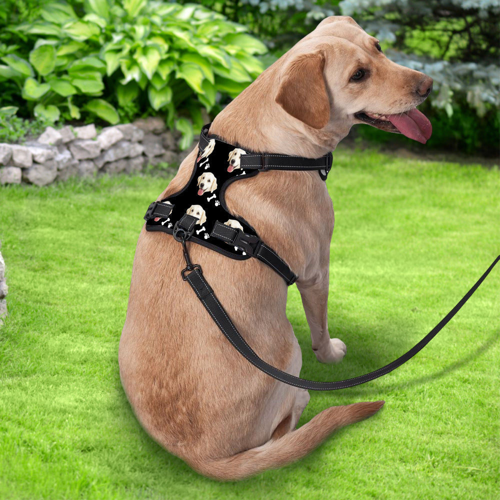 Personalized Dog Photo Bone Pattern Style Dog Harness
